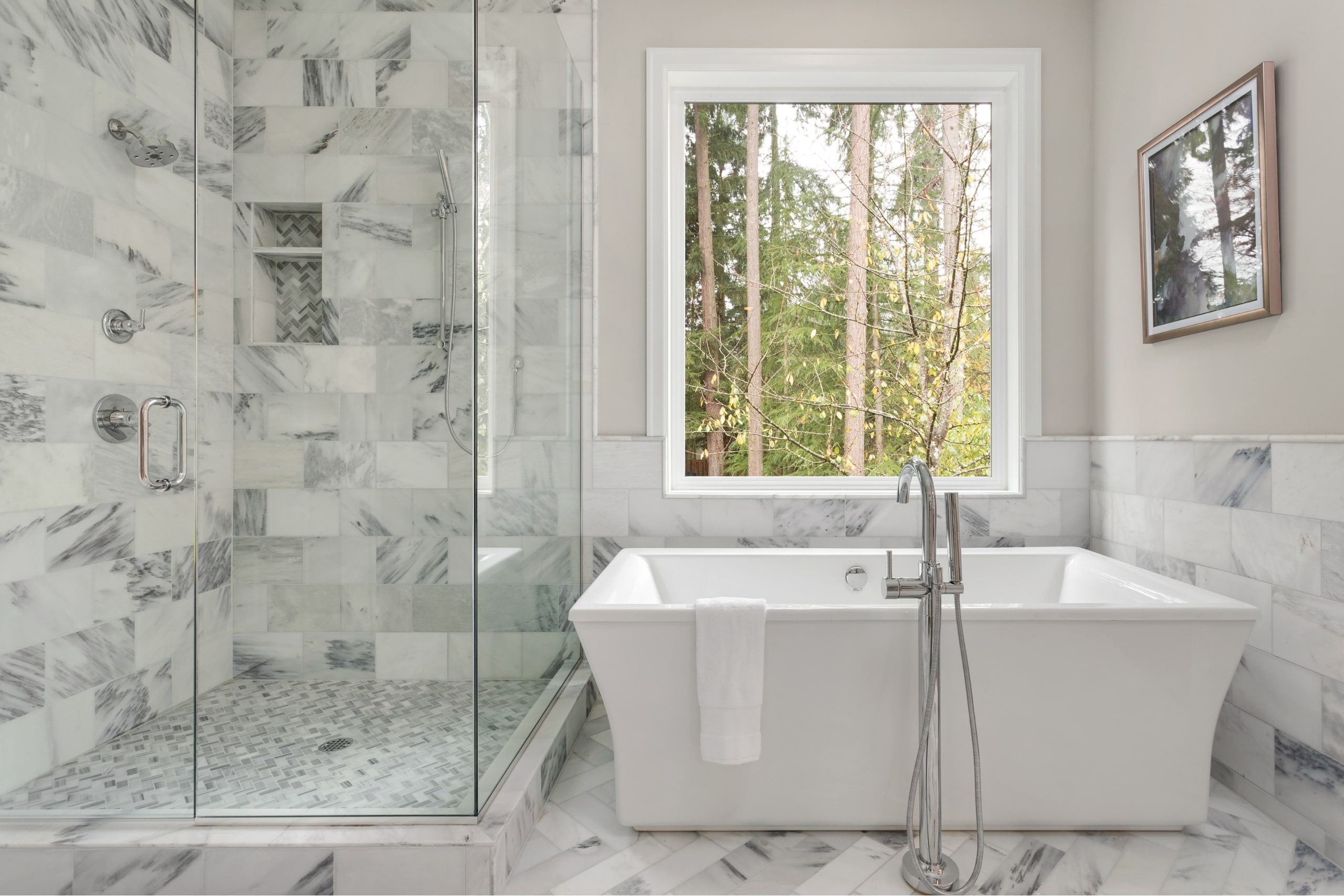 Glass Walk-in Shower and Free Standing tub